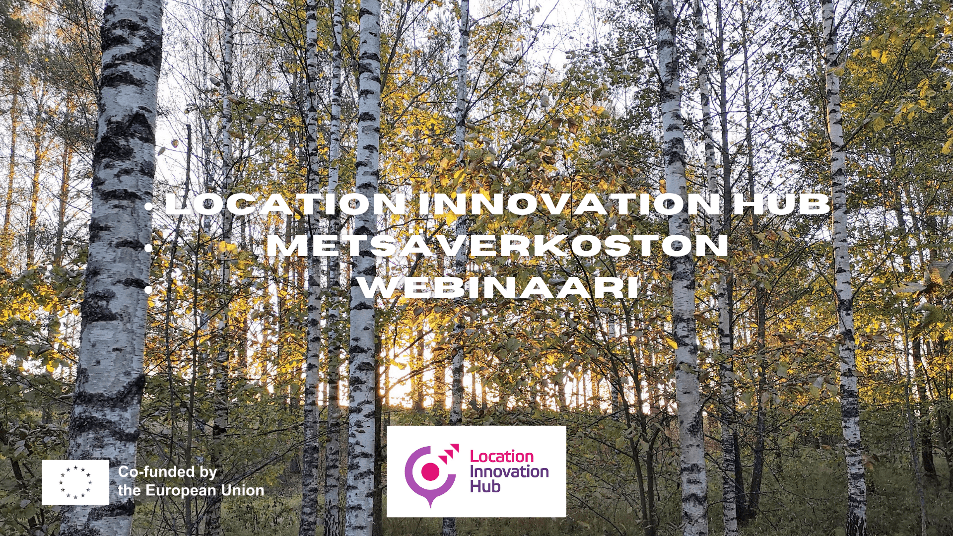 Read more about the article LIH Metsäverkoston webinaari