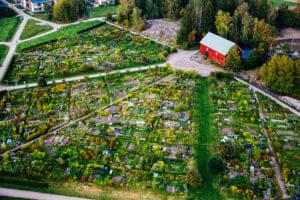 Read more about the article Ei mikään vanhoihin kaavoihin kangistunut Kirkkonummi