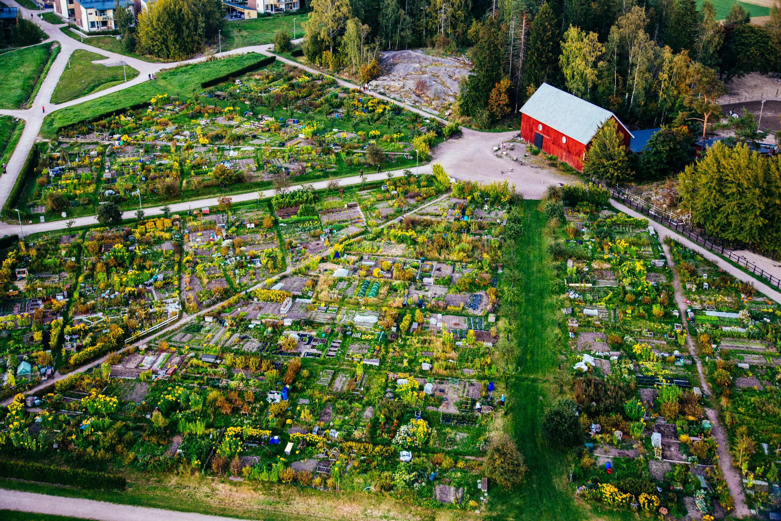 Read more about the article Ei mikään vanhoihin kaavoihin kangistunut Kirkkonummi